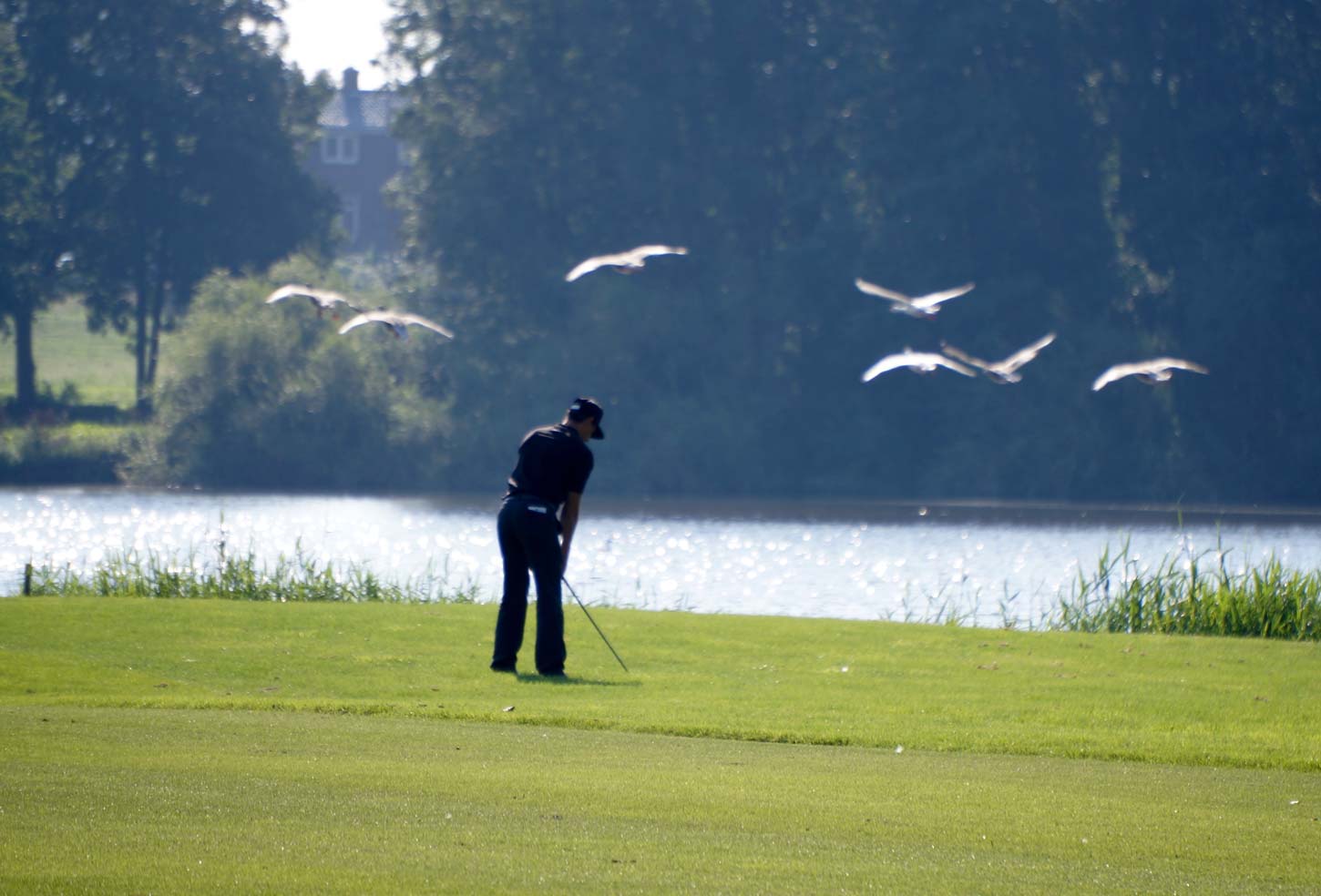 Samenwerkende Golfclubs - Golfbaan De Rotterdamsche