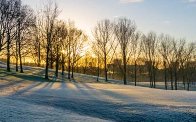 De golfbaan en het winterse weer